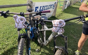 6506d7ad785bd_IMG1961.jpeg